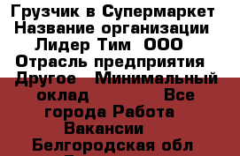 Грузчик в Супермаркет › Название организации ­ Лидер Тим, ООО › Отрасль предприятия ­ Другое › Минимальный оклад ­ 19 000 - Все города Работа » Вакансии   . Белгородская обл.,Белгород г.